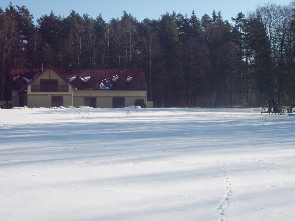 Penzion U Blatce Hotel Nové Hrady Buitenkant foto