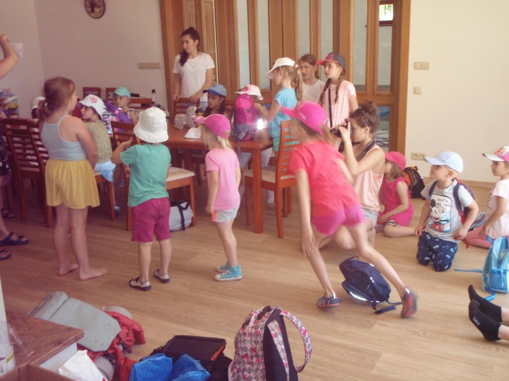 Penzion U Blatce Hotel Nové Hrady Buitenkant foto